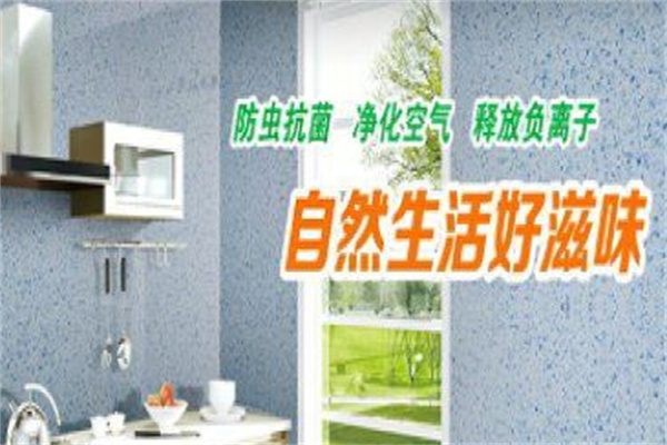 优耐图3D彩粒漆加盟