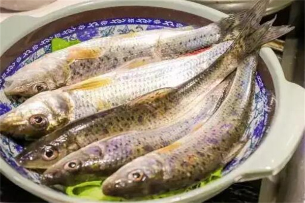 尽膳精致河鲜川菜馆
