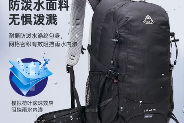 艾王背包