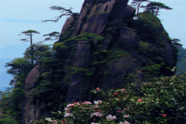海米旅行