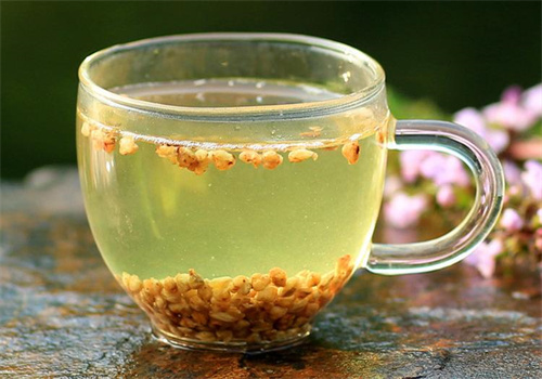 爱心培苦荞茶
