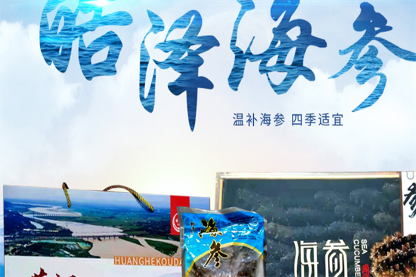 皓泽海参