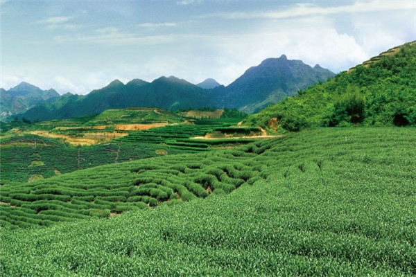 简山时间