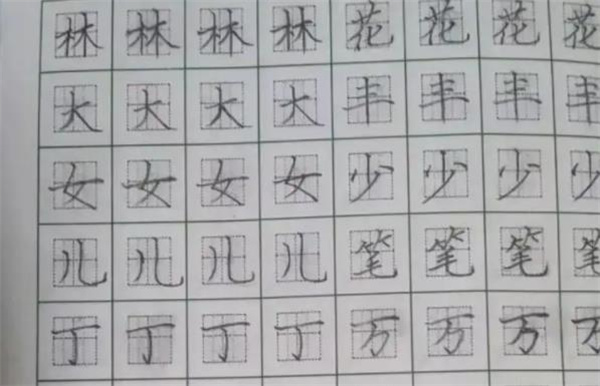 正心格练字