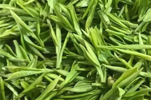 宝祖贡茶