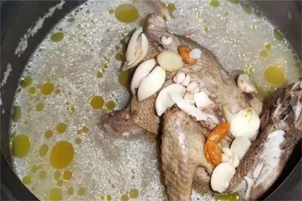 山家鸽中山鸽汤