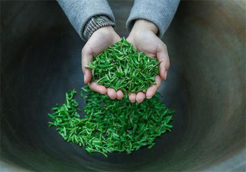 昊展茶业