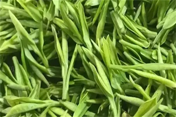 福茗优茶叶