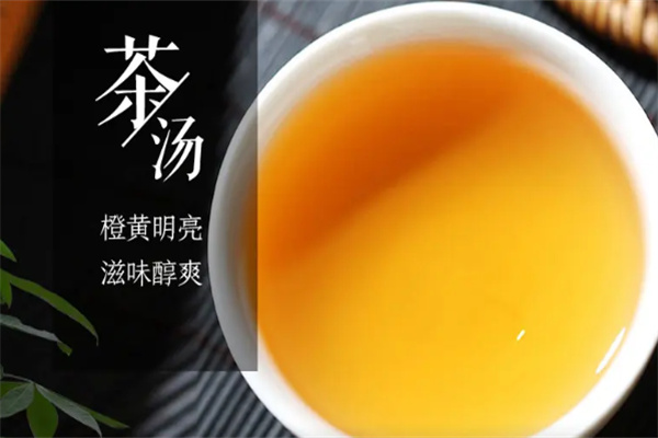 中南红茶饮料加盟