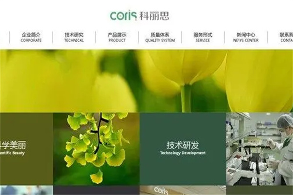 科丽思化妆品加盟