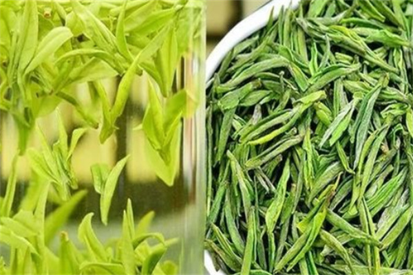 浙茶集团茶叶加盟