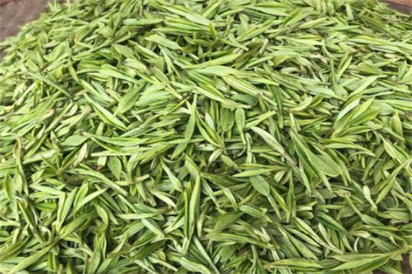 浙茶集团茶叶加盟