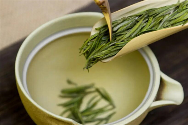 美吉源茶叶加盟