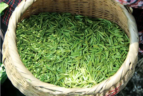 百茗汇茶叶
