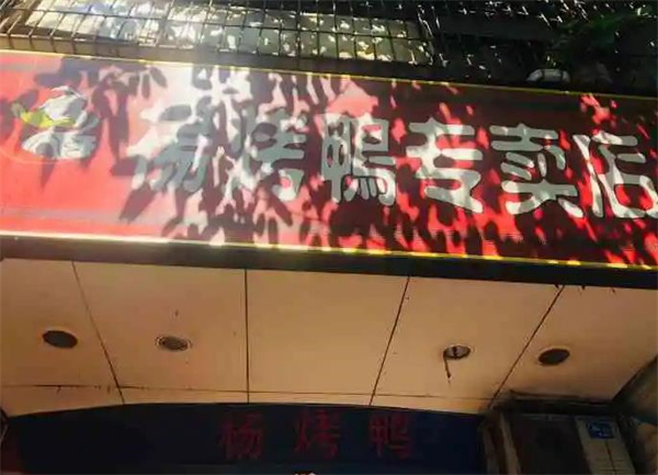 杨烤鸭