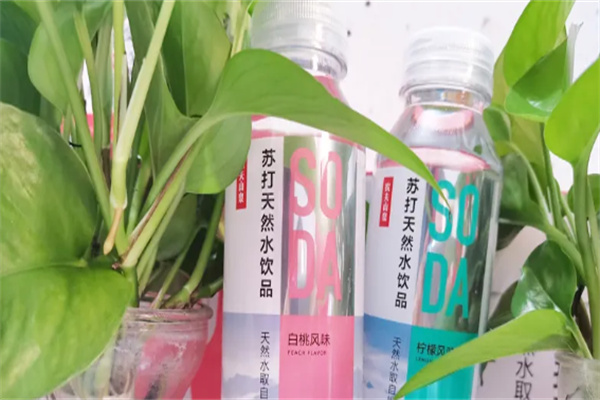 源美饮料加盟