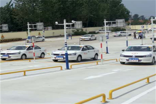 大牛学车