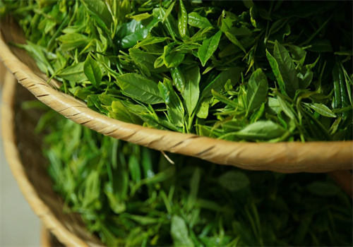 品味斋茶叶
