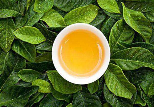 品味斋茶叶