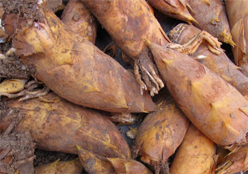 名优土特产食品