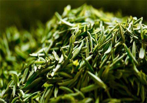 茗新茶业