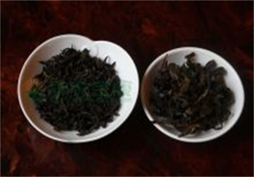 甘泉茶叶