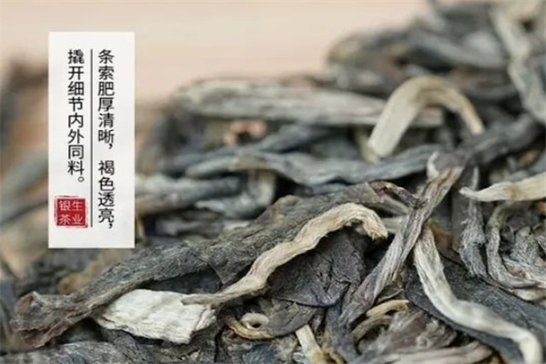 银生茶业加盟