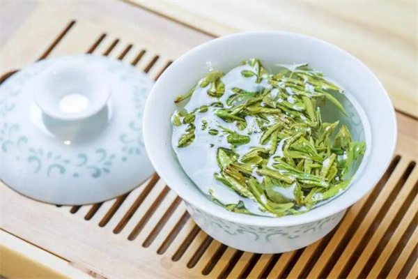 绿韵茶叶加盟