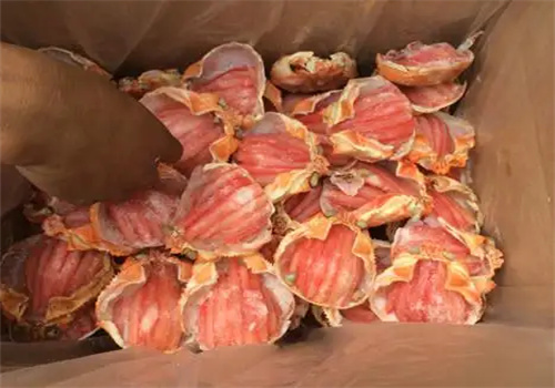 华威盛世冷冻食品