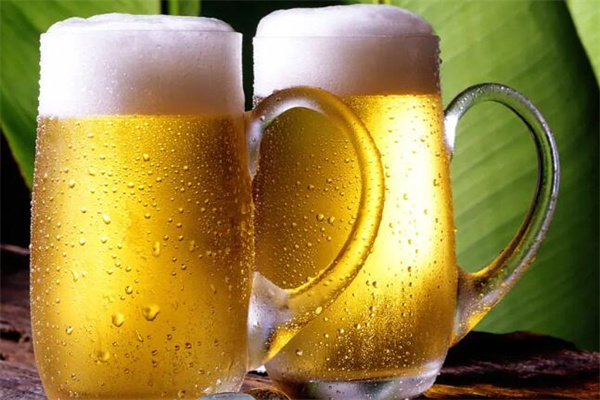 绿溪啤酒加盟