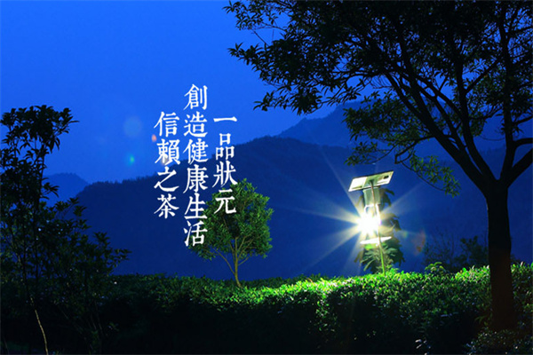 一品状元茗茶加盟