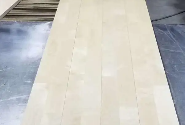 缤瑞运动木地板