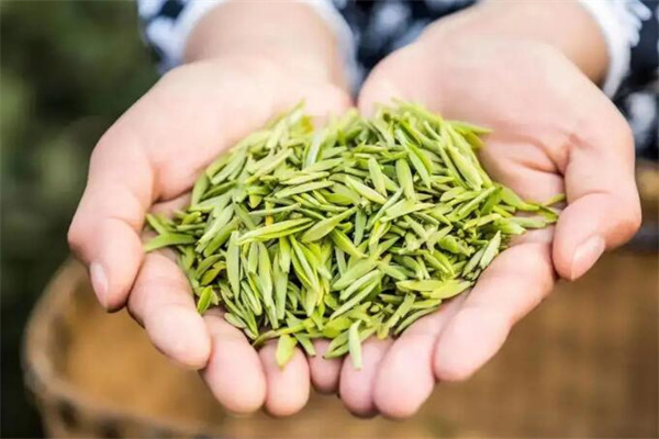 灵岩茶叶加盟