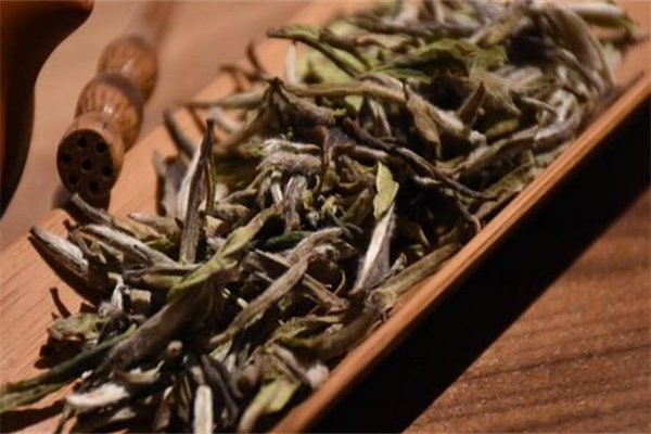 雪茗茶叶加盟