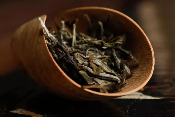 茶王赞名人老白茶