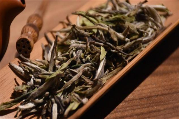新阳茶叶加盟