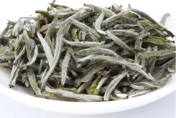茶王赞名人老白茶
