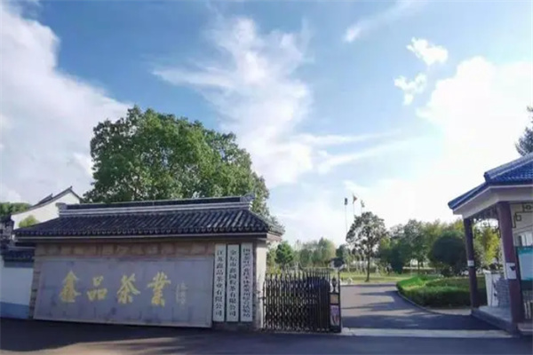 鑫品茶业加盟
