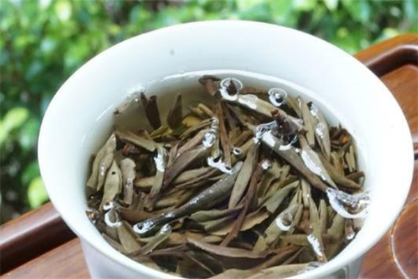 星光茶业加盟