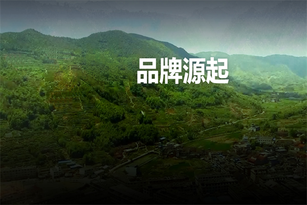 天健茶业