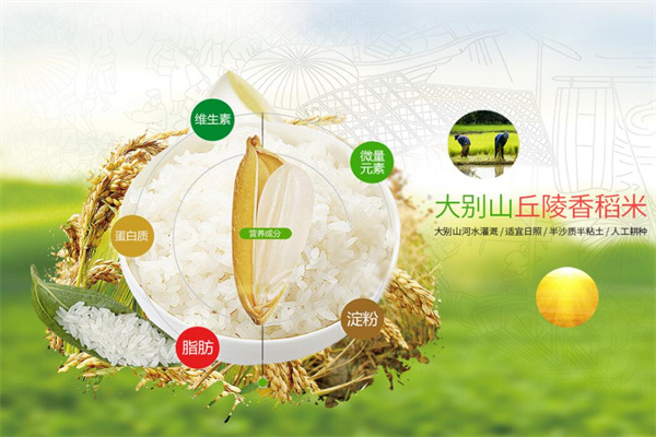 联河米业加盟