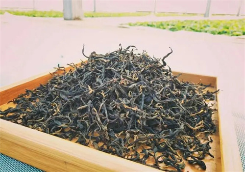 大渡岗茶叶