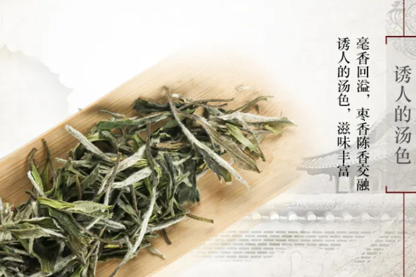 陈源泰白茶