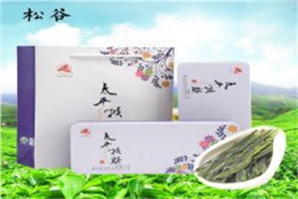 松谷茶叶
