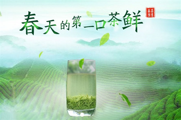 松谷茶叶