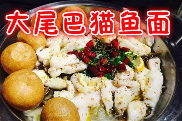 大尾巴猫鱼面