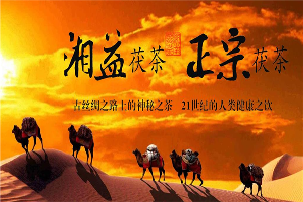 圣旨峰茶叶
