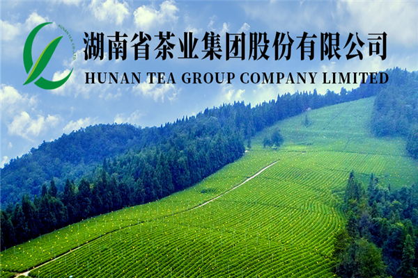 圣旨峰茶叶
