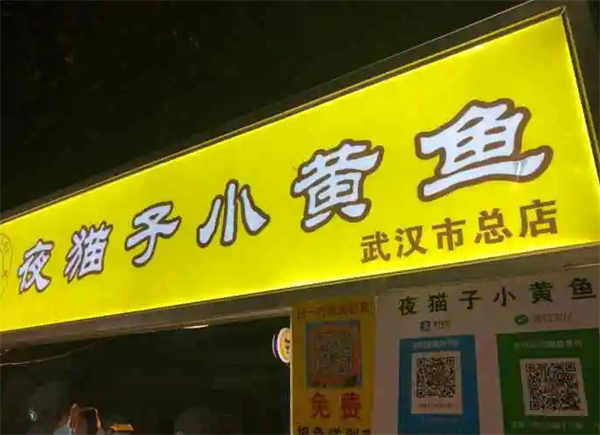 夜猫子小黄鱼