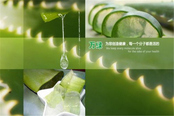 万绿生物化妆品加盟